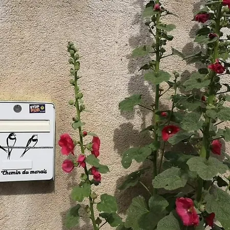 Apartament La Teranga Proche La Rochelle Nuaille-d'Aunis