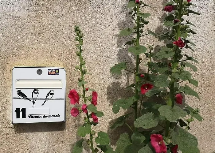 Apartment La Teranga Proche La Rochelle Nuaille-d'Aunis